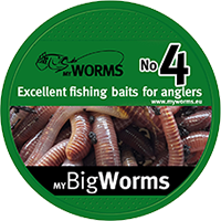 myBigWorms